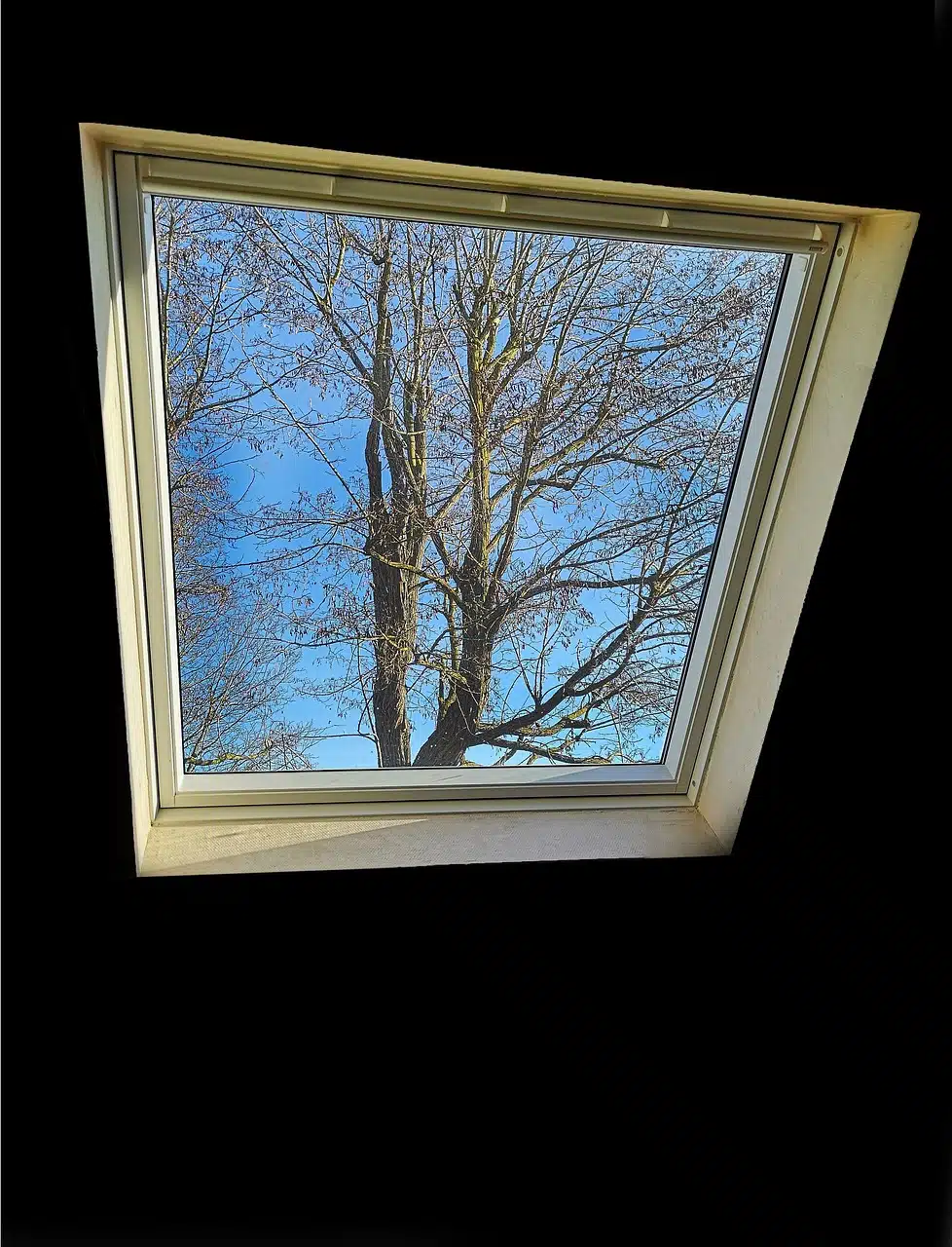 Installer un Velux pour illuminer vos combles : ce que vous devez savoir