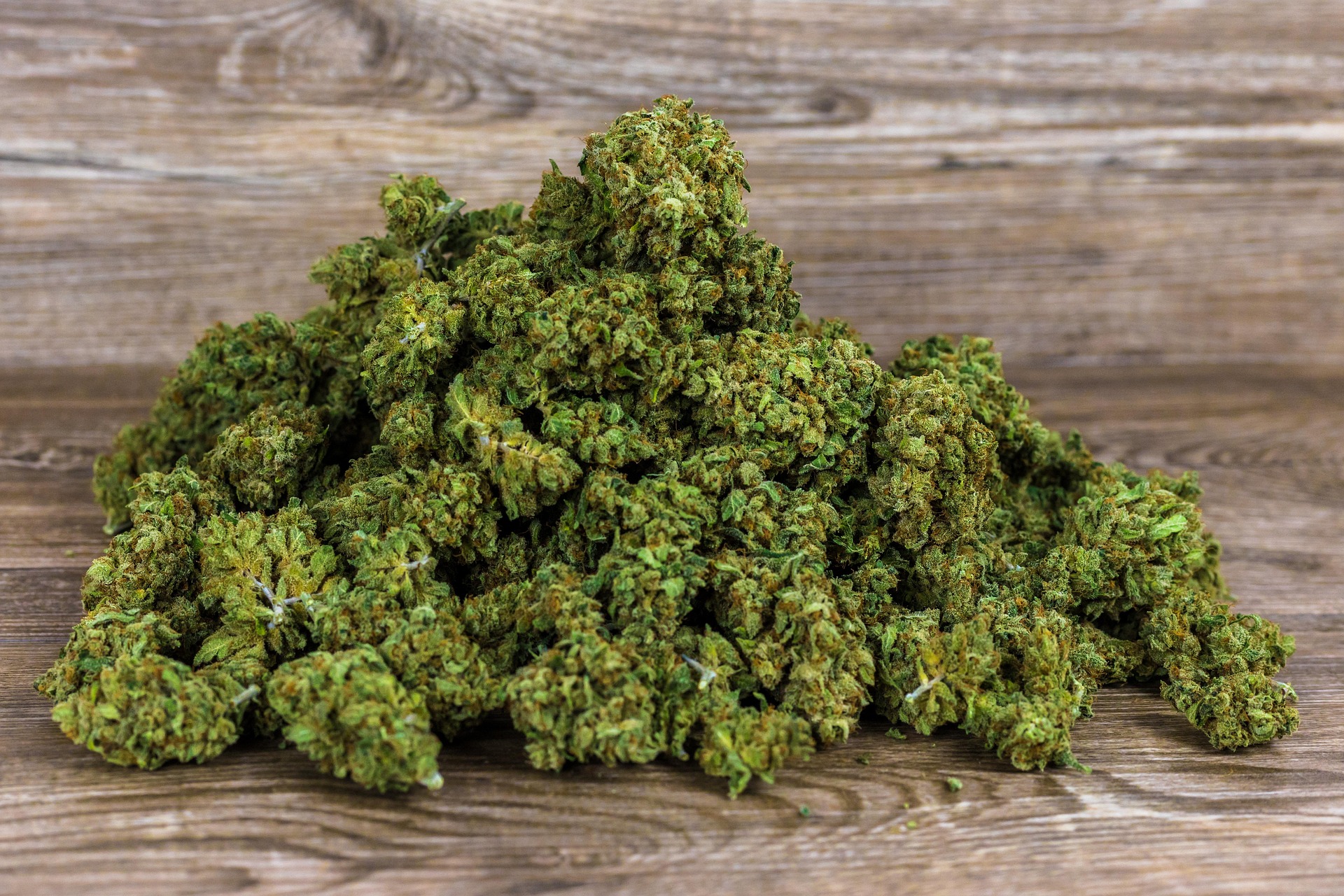 Fleurs de CBD