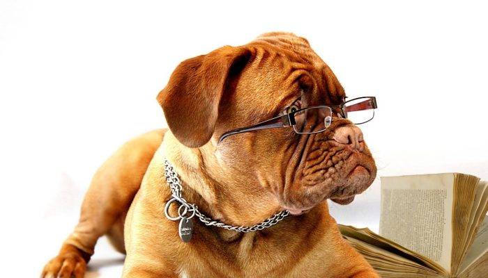 Devenez Opticien Grâce à Un Lycée Réputé Pour Sa Réussite