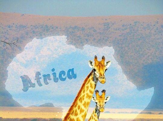 Safari Et Voyage En Afrique – La Grande Aventure