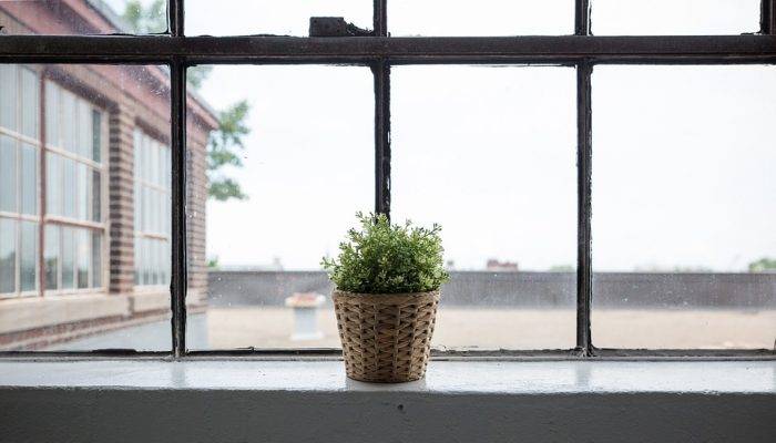 Lutter Contre La Pollution Intérieure : Des Conseils Pour Améliorer La Qualité De L’air !