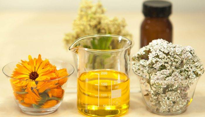 Les Bienfaits De L’huile Essentielle De Cyprès