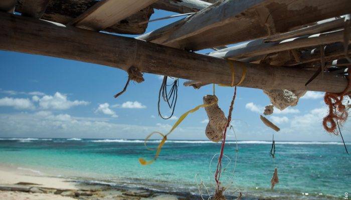 Idée De Destination Pour Des Vacances Inoubliables : Marie Galante