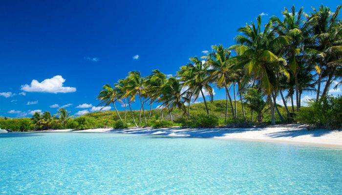 La Martinique : Une île Aux Multiples Trésors