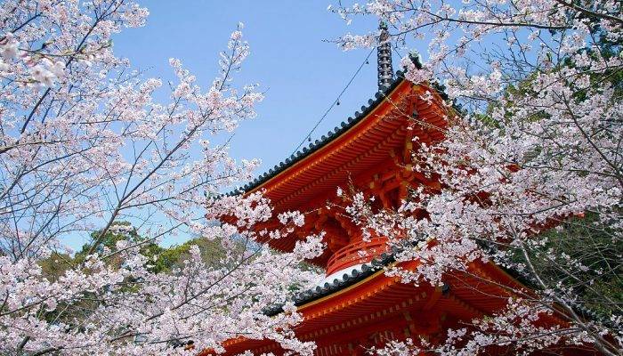 Guide Pratique Pour Voyager Sereinement Au Japon