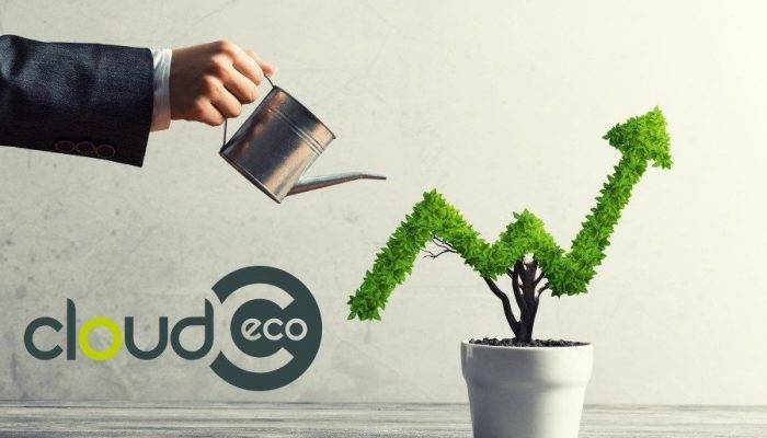 Cloud Eco : L’innovation Au Cœur De Son ADN