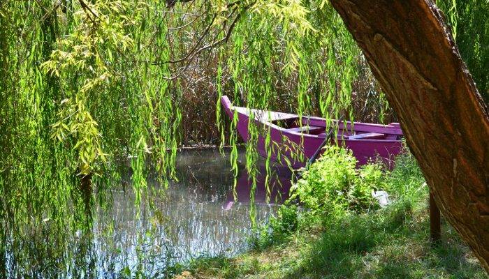 Découvrir La Bourgogne Au Fil De L’eau, Et Si Vous Tentiez L’aventure ?